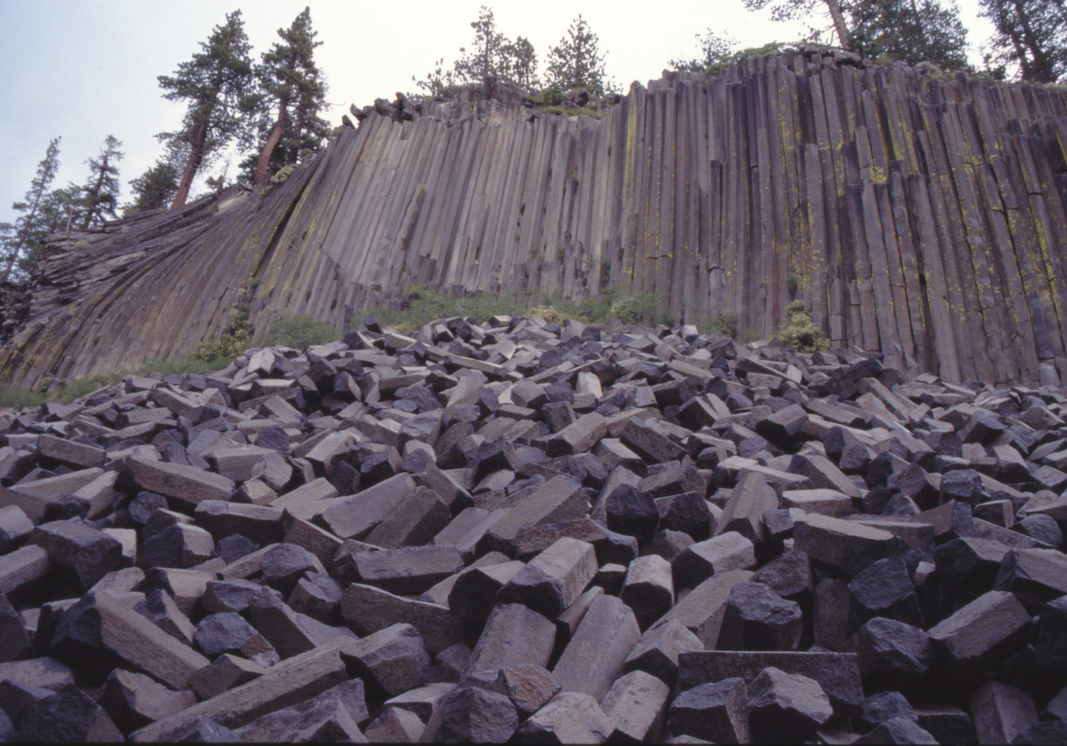 tuuzyouseturi